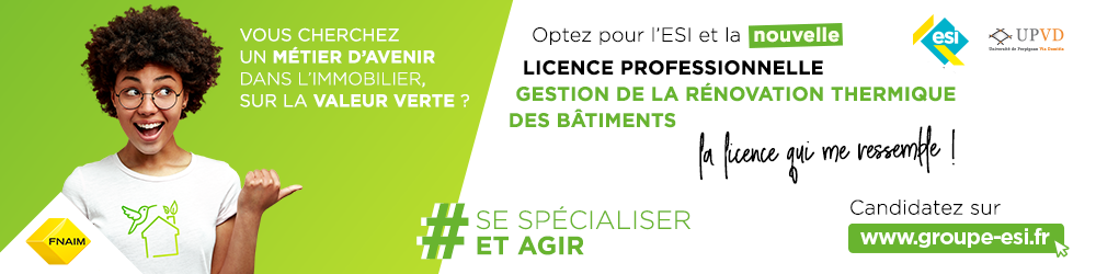 Licence Pro GRTB - ESI